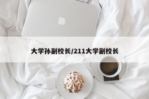 大学孙副校长/211大学副校长