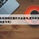 【惠东疫情地区图片大全查询,惠东疫情新增最新消息今天】