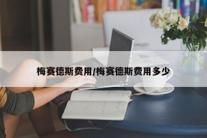 梅赛德斯费用/梅赛德斯费用多少